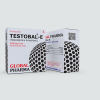Testosterone Enanthate 250mg/ml Global Pharma